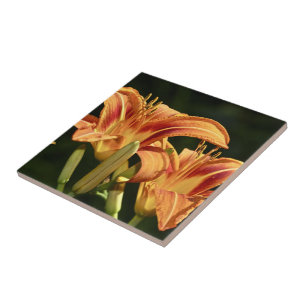 Azulejo De Cerámica Consideremos Los Lírios Del Campo