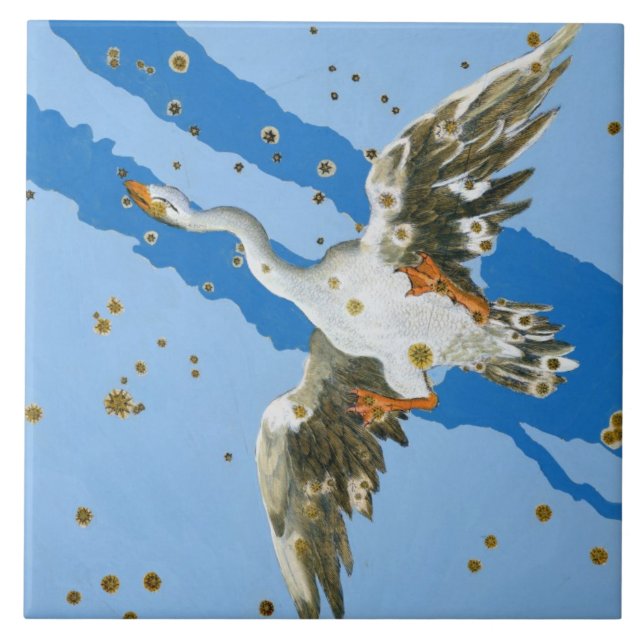 Azulejo De Cerámica Constelación de Cygnus, del writte de (Frente)