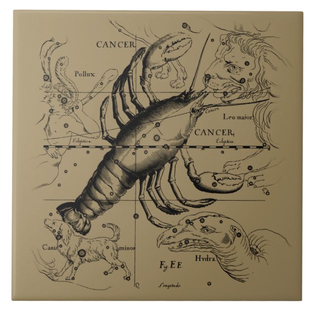 Azulejo De Cerámica Constelación del cáncer Hevelius 1690 (Frente)