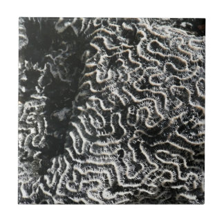 Azulejo De Cerámica Coral blanco y negro I Resumen foto natural