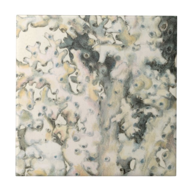 Azulejo De Cerámica Coral de acuarela antigua (Frente)