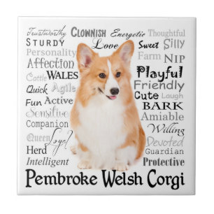Azulejo De Cerámica Corgi Traits Tile