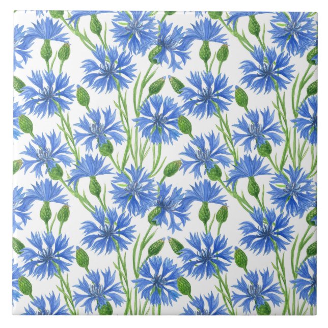 Azulejo De Cerámica Cornflores de color azul, flores silvestres en bla (Frente)
