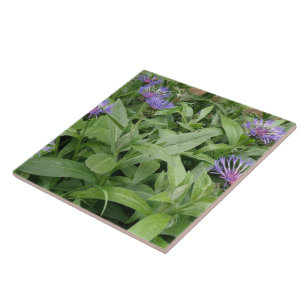 Azulejo De Cerámica Cornflowers Tile