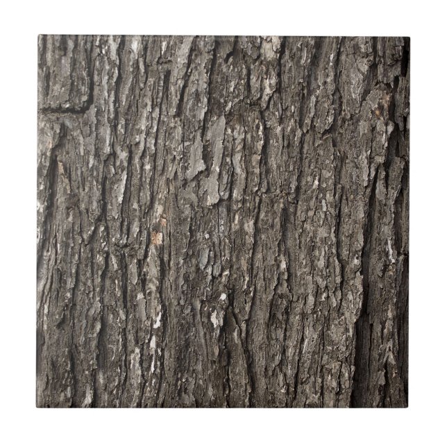 Azulejo De Cerámica Corteza de árbol gruesa (Frente)