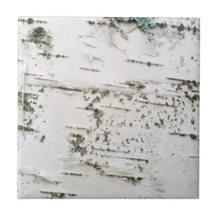 Azulejo De Cerámica Corteza de Birch