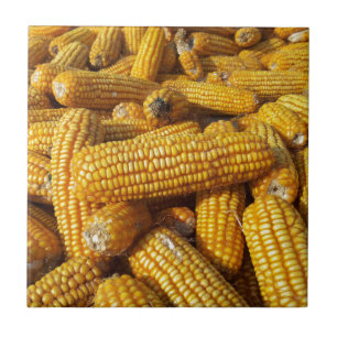 Azulejo De Cerámica Cosecha de maíz
