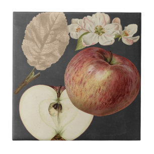 Azulejo De Cerámica Cosecha Medianoche II