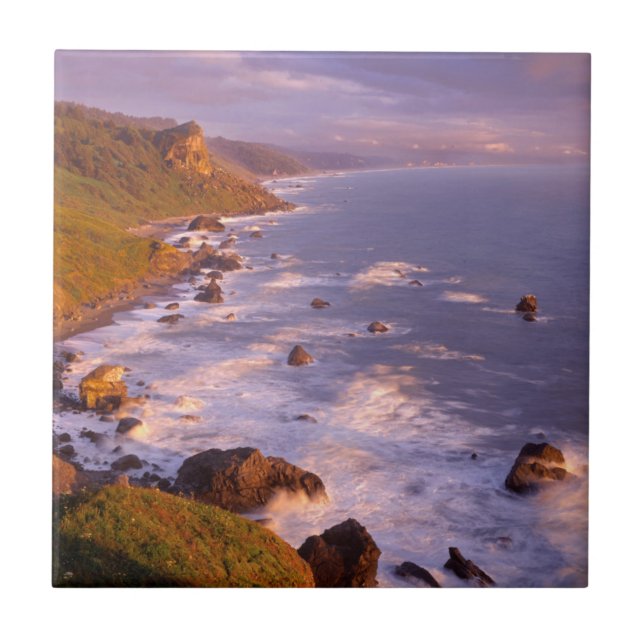 Azulejo De Cerámica Costa de secuoyas, California (Frente)