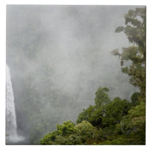 Azulejo De Cerámica Costa Rica, bosque nublado en las montañas cerca d