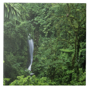 Azulejo De Cerámica Costa Rica, zona del volcán Arenal, puentes colgan