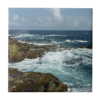 Azulejo De Cerámica Costa Rocosa y Océano Azul de Aruba