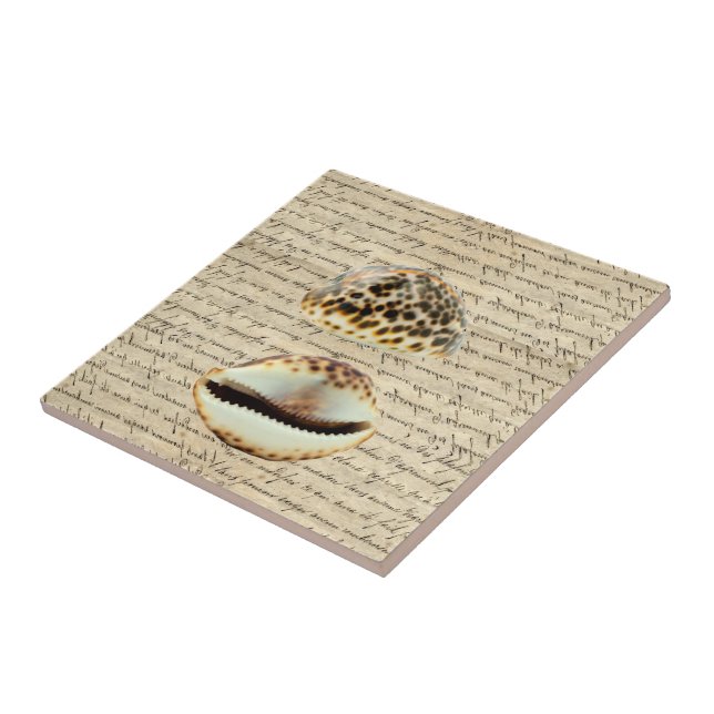 Azulejo De Cerámica Cowrie (Lado)