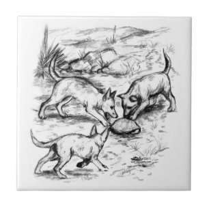 Azulejo De Cerámica Crías de Coyote