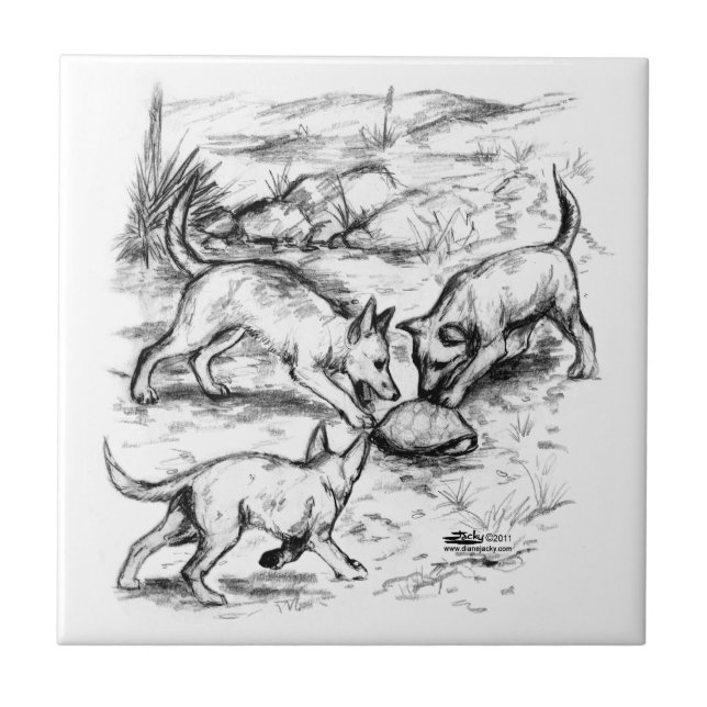 Azulejo De Cerámica Crías de Coyote (Frente)