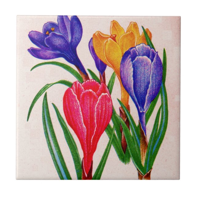 Azulejo De Cerámica crocus primaveral (Frente)
