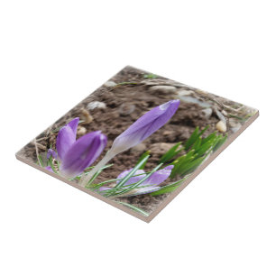 Azulejo De Cerámica Cruces de primavera