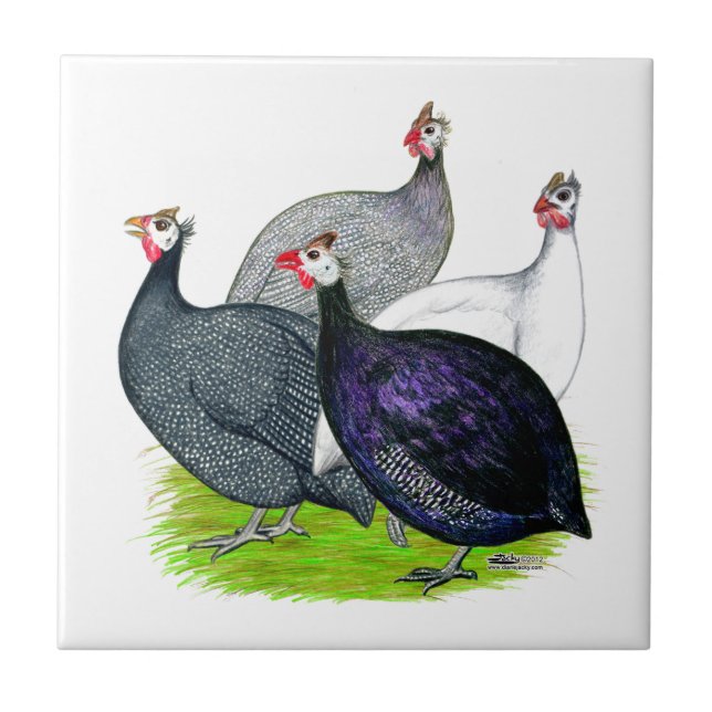 Azulejo De Cerámica Cuatro Guinea (Frente)