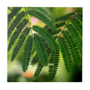 Azulejo De Cerámica Cubierta cerámica de hojas verdes