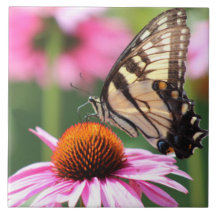 Cubierta cerámica de mariposa de cola amarilla