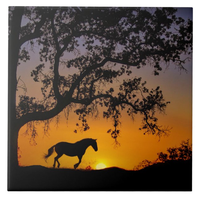 Azulejo De Cerámica Cubierta de arte de caballo y roble (Frente)