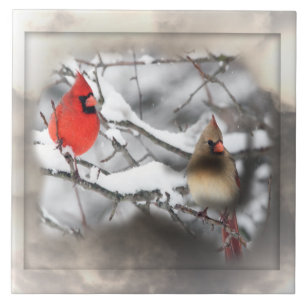 Azulejo De Cerámica Cubierta de invierno Cardinals