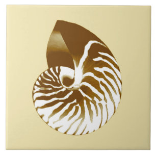 Azulejo De Cerámica Cubierta de Nautilus - marrón, blanco y beige