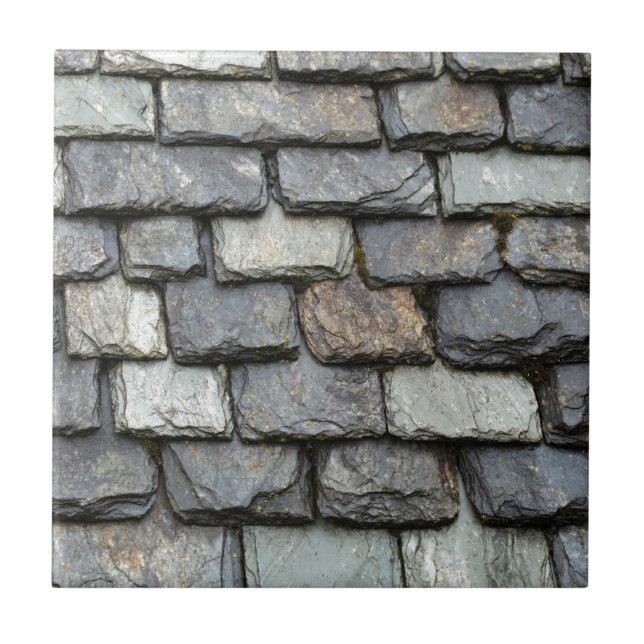 Azulejo De Cerámica Cubierta del tejado con las placas de la pizarra (Frente)
