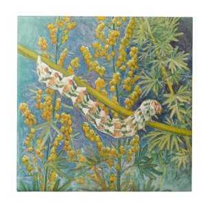 Azulejo De Cerámica Cucullia Absinthii Wormwood Caterpillar