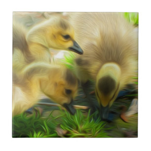 Azulejo De Cerámica Cute Gosling
