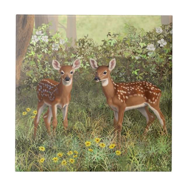 Azulejo De Cerámica Cute Whitetail Deer Twin Fawns (Frente)