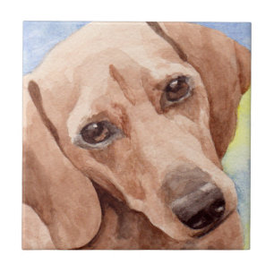 Azulejo De Cerámica Dachshund
