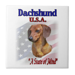 Azulejo De Cerámica Dachshund USA