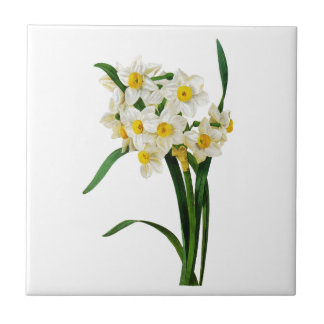 Azulejo De Cerámica Daffodil o Narcissus por Pierre Joseph Redoute