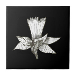 Azulejo De Cerámica Daffodil Tile Floral