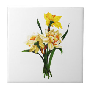 Azulejo De Cerámica Daffodils o Narcissus de Pierre Joseph Redoute