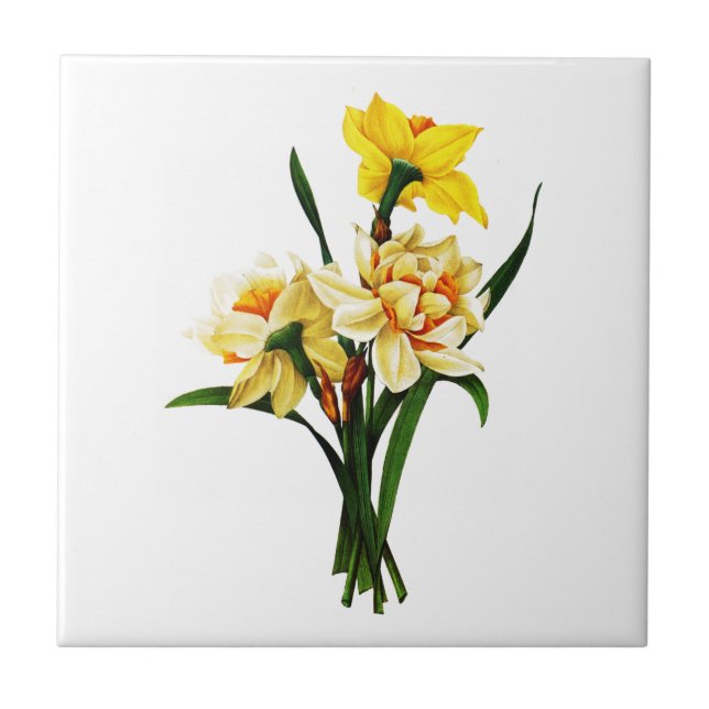 Azulejo De Cerámica Daffodils o Narcissus por Pierre Joseph Redoute (Frente)