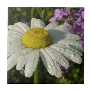 Azulejo De Cerámica Daisy and Summer Lilac Wildflower