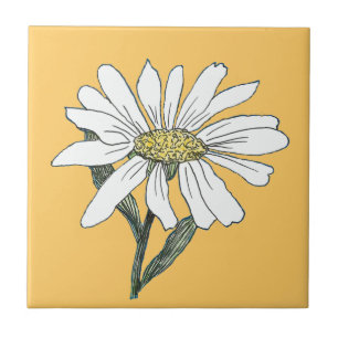 Azulejo De Cerámica Daisy Tile