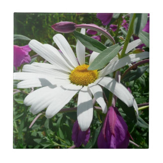 Azulejo De Cerámica Daisy y Fireweed Wildflower