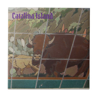 AZULEJO DE CERÁMICA DE LA ISLA CATALINA CARA DE LA