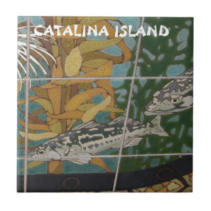 AZULEJO DE CERÁMICA DE LA ISLA CATALINA CATALINA V