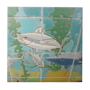 AZULEJO DE CERÁMICA DE LA ISLA CATALINA EL BARRIO