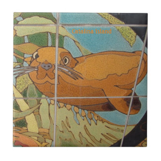 AZULEJO DE CERÁMICA DE LA ISLA CATALINA EN EL AGUA