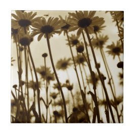 Azulejo De Cerámica Debajo de los días