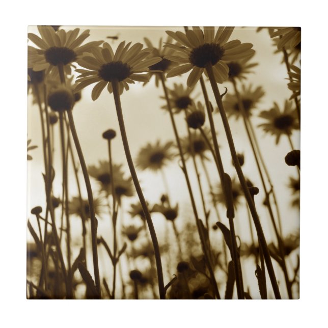 Azulejo De Cerámica Debajo de los días (Frente)