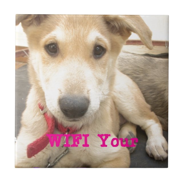 Azulejo De Cerámica Deberías Despertar Tu Amor A Diario (Frente)