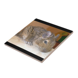 Azulejo De Cerámica Degu Relaxing Tile