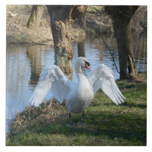 Azulejo de cerámica del cisne de pie con alas exte