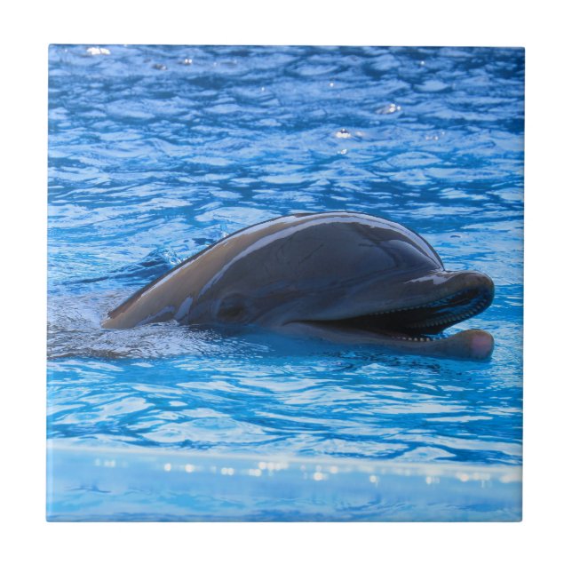 Azulejo De Cerámica Delfín (Frente)